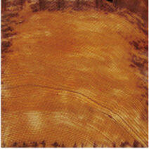 従来の防腐・防蟻処理