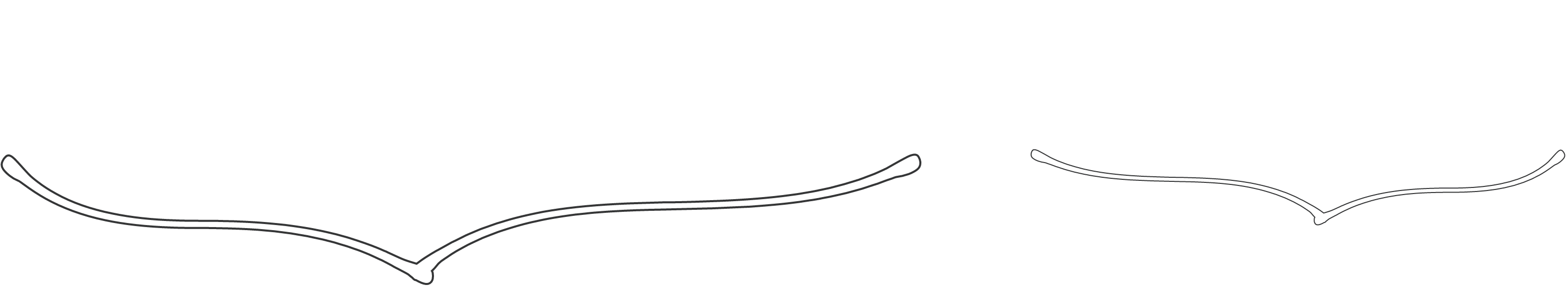 テキスト